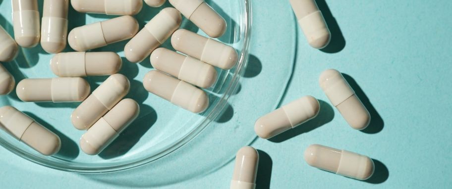 Arykuł banner - Bifidobacterium bifidum - co to takiego i jak działają probiotyki z jego zawartością? Czy preparaty z Bifidobacterium bifidum są pomocne przy IBS?