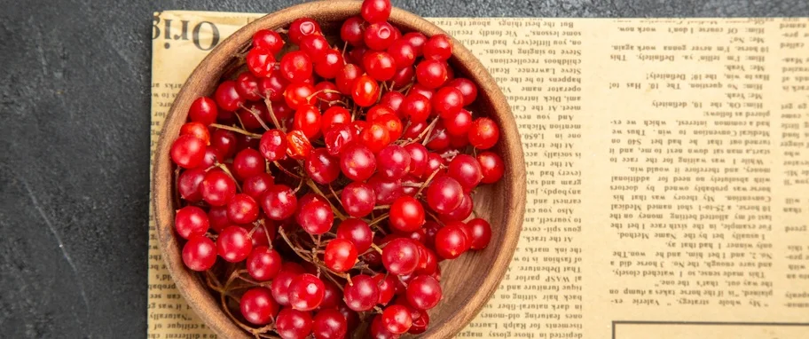 Arykuł banner - Cytryniec chiński (Schisandra chinensis) - jakie wykazuje właściwości? Zastosowanie, działanie i przeciwwskazania.