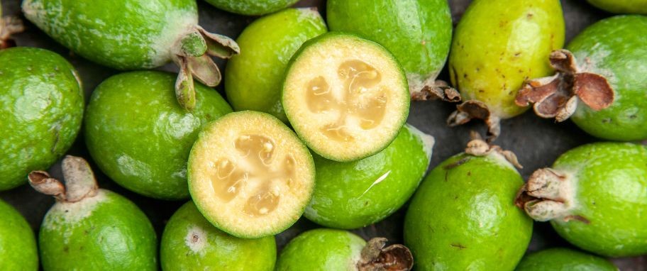 Arykuł banner - Garcinia cambogia - właściwości i zastosowanie. Jak działa Garcinia cambogia i czy pomaga na odchudzanie? 