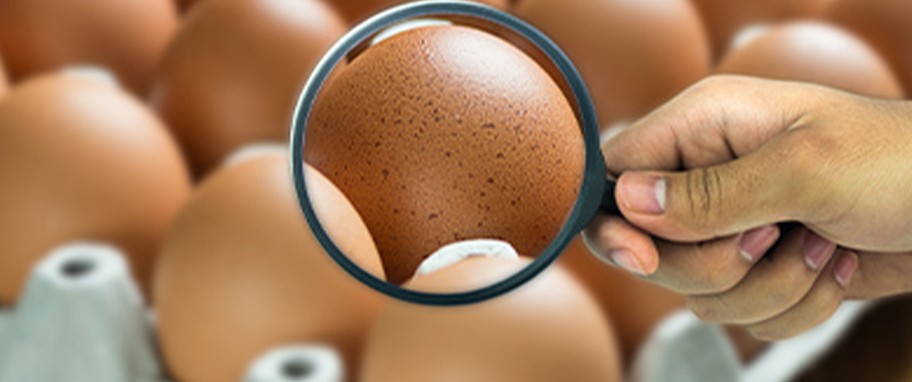 Arykuł banner - Zatrucie bakteriami salmonella &ndash; objawy i leczenie, powikłania zakażenia salmonellą. Jak ustrzec się przed salmonellozą?
