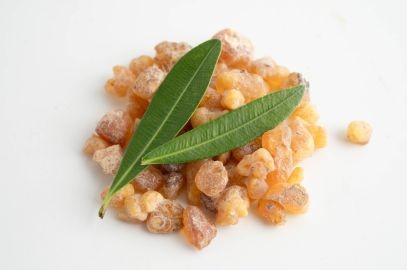 Zdjęcie artykułu - Kadzidłowiec indyjski (Boswellia serrata) - co to takiego? Właściwości i zastosowanie kadzidłowca indyjskiego