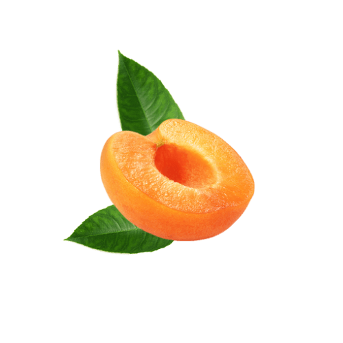 Apricot
