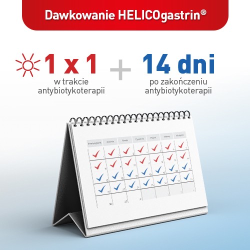 Zdjęcie produktu - 5 Zestaw HELICOGASTRIN, 3x14kaps.