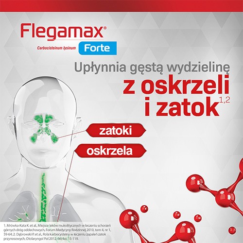 Miniaturka artykułu - #1 Flegamax Forte 2,7g,  6 saszetek