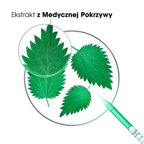 Zdjęcie produktu - 3 KLORANE Szampon seboregulujący z pokrzywą, 400ml