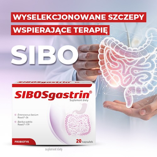 Miniaturka artykułu - #0 SIBOSgastrin, 20 kaps.