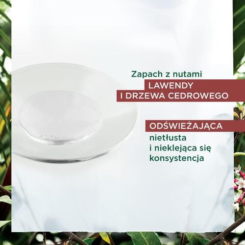 Zdjęcie produktu - 2 KLORANE Serum przeciw wypadaniu włos&oacute;w z chininą i organiczną szarotką, 100ml