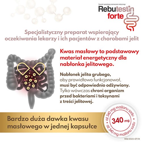 Miniaturka artykułu - #1 Rebutestin Forte, 60kaps.