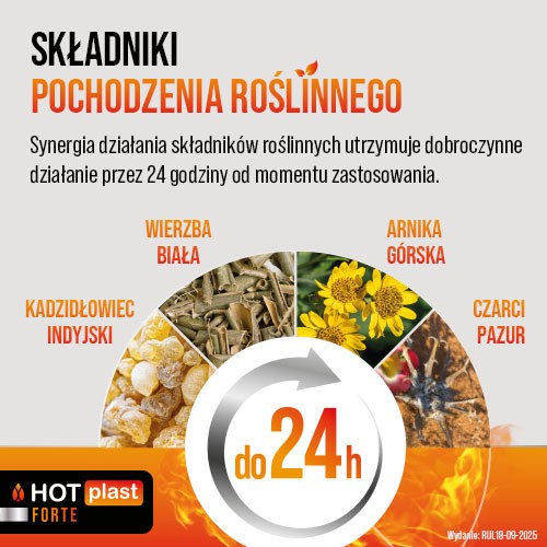 Miniaturka artykułu - #1 HOT PLAST Forte Plaster rozgrzewający 9cm x 14cm