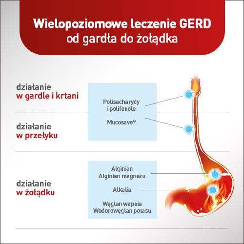 Zdjęcie produktu - 2 Mucoref Alugastrin, 14sasz.x15ml