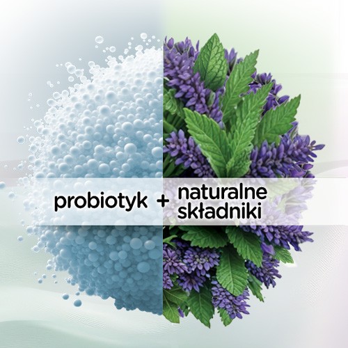 Miniaturka artykułu - #0 Aflofarm ProbioCalm Probiotyk, 30 tabl.