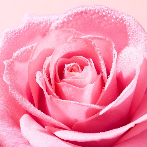 Miniaturka artykułu - #1 Nuxe Very Rose Oczyszczająca pianka micelarna, 150 ml