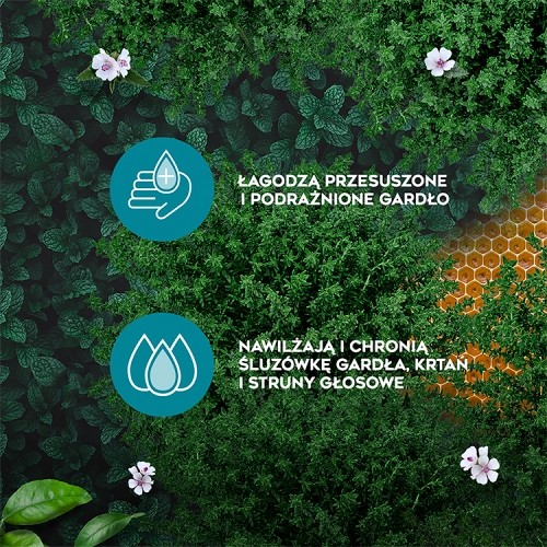 Zdjęcie produktu - 3 AMOLowe - nawilżająco-łagodzące pastylki na gardło - 16 pastylek