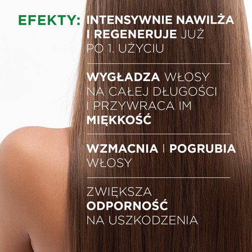 Miniaturka artykułu - #1 Idee Derm Maska regenerująca do włos&oacute;w przesuszonych i matowych, 200 ml