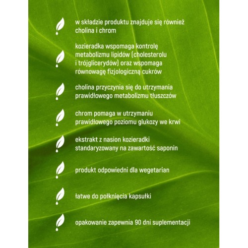 Zdjęcie produktu - 3 Essensey Kozieradka Ekstrakt+ 90 kaps.