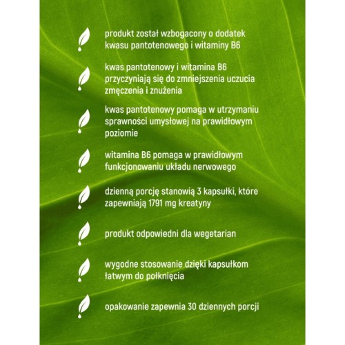 Zdjęcie produktu - 3 Essensey Kreatyna Monohydrat + B5, B6, 90 kaps.