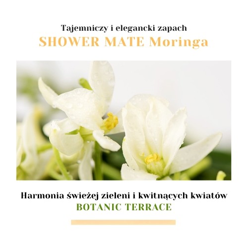 Miniaturka artykułu - #1 Aekyung Showermate Botanic Moringa Żel pod prysznic, 1,2 l