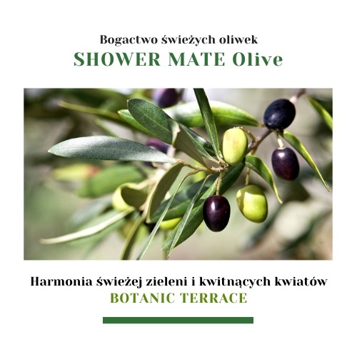 Miniaturka artykułu - #1 Aekyung Showermate Botanic Olive Żel pod prysznic, 1,2 l 