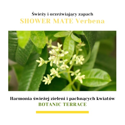 Miniaturka artykułu - #1 Aekyung Showermate Botanic Verbena Żel pod prysznic, 1,2 l