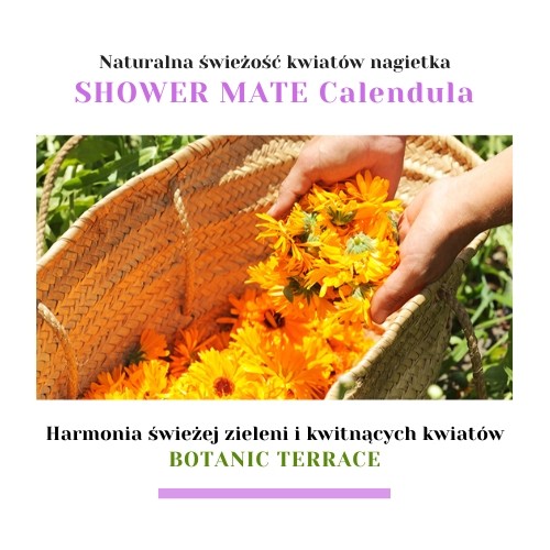 Miniaturka artykułu - #1 Aekyung Showermate Botanic Calendula Żel pod prysznic, 1,2 l