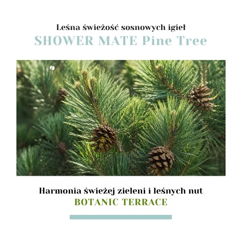 Miniaturka artykułu - #1 Aekyung Showermate Botanic Pine Tree Żel pod prysznic, 1,2 l