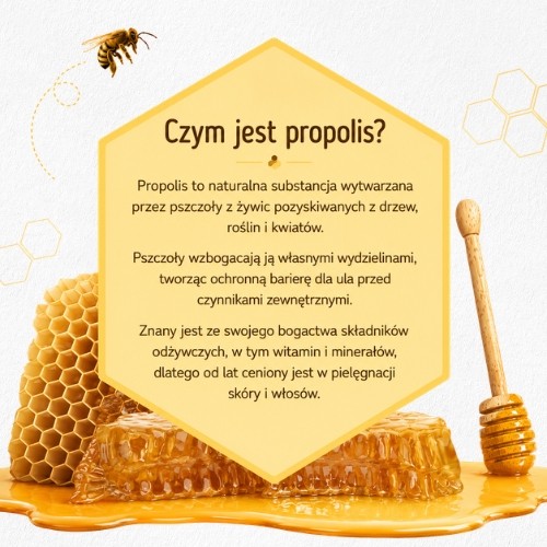 Miniaturka artykułu - #1 Aekyung Kerasys Propolis Energy+ Szampon do włos&oacute;w z propolisem, 1 l