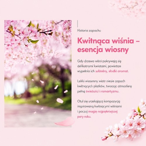 Zdjęcie produktu - 2 Aekyung Kerasys Cherry Blossom Perfumowany szampon do włos&oacute;w, 1 l