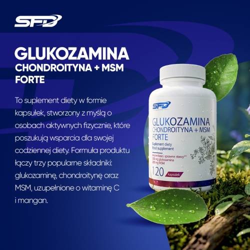 Zdjęcie produktu - 4 SFD Glukozamina Chondroityna MSM Forte, 120 kaps.