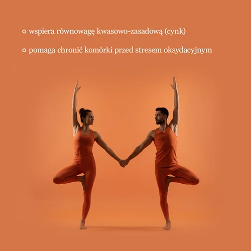 #1 – Langsteiner Proszek zasadowy, 300 g