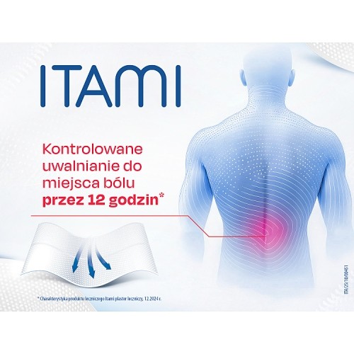 Zdjęcie produktu - 6 Itami Plastry lecznicze 140mg, 10sztuk