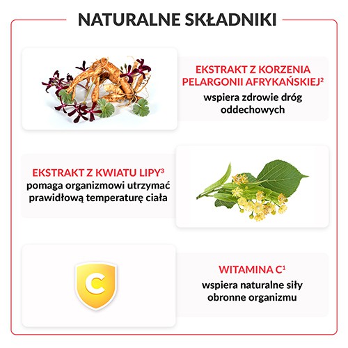 Miniaturka artykułu - #1 Pelavo Multi 6+ Drogi oddechowe (dawniej przeziębienie i grypa), 120ml