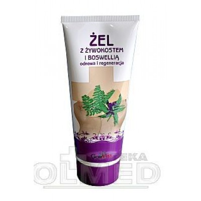 Miniaturka artykułu - #0 GORVITA ŻEL Z ŻYWOKOSTEM I BOSWELLIĄ  - 200 ml (23193)