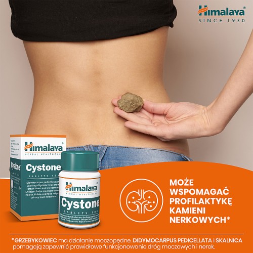 Miniaturka artykułu - #1 HIMALAYA Cystone, 100 tabletek 