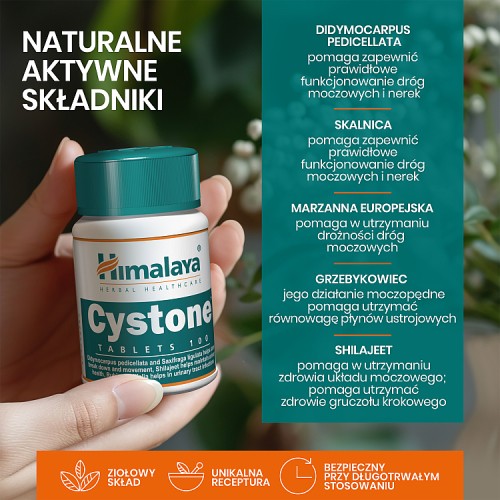 Zdjęcie produktu - 4 HIMALAYA Cystone, 100 tabletek 