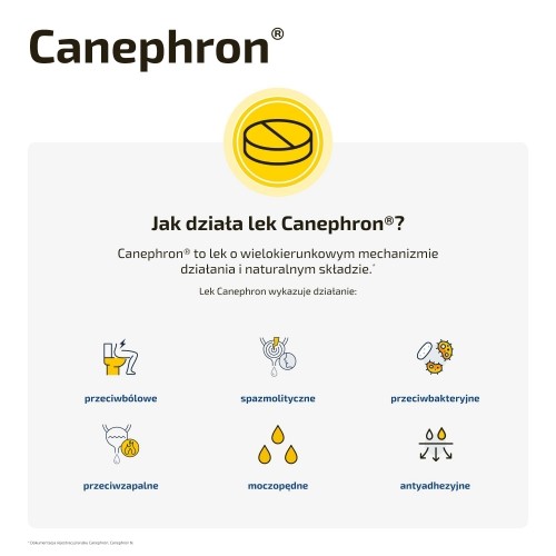 Miniaturka artykułu - #1 BIONORICA Canephron - 60 tabletek drażowanych