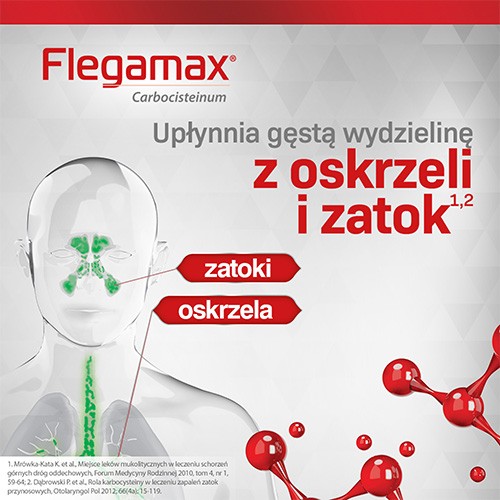 Miniaturka artykułu - #1 Flegamax roztw&oacute;r doustny 50mg/ml, 200ml