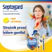 Zdjęcie produktu - #0 SEPTOGARD smak cytrynowy, 20past.
