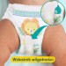 Zdjęcie produktu - #2 Pampers Pants 5 Pieluchomajtki dla dzieci 12-17 kg, 152 szt.