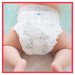 Zdjęcie produktu - #3 PAMPERS Harmonie Pants 6 Pieluchomajtki rozmiar 6, 18 sztuk
