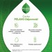 Zdjęcie produktu - #1 Pelavo Odporność 6+ krople, 20ml