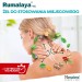 Zdjęcie produktu - #1 HIMALAYA RUMALAYA Żel kojący, 50g