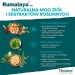 Zdjęcie produktu - #2 HIMALAYA RUMALAYA Żel kojący, 50g