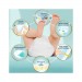 Zdjęcie produktu - #3 Pampers Premium Care Pieluszki, rozmiar 1, 72 sztuk