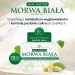 Zdjęcie produktu - #0 DOMOWA APTECZKA Moc Natury Morwa Biała, 72 tabl.