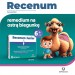 Zdjęcie produktu - #4 Recenum Junior, 10sasz.  - doraźne leczenie objaw&oacute;w ostrej biegunki  u dzieci powyżej 6. roku życia