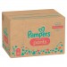 Zdjęcie produktu - #5 Pampers Premium Care Pieluchomajtki, rozmiar 7 XXL 17kg+, 80 sztuk