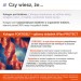 Zdjęcie produktu - #1 4Flex Protect, 30 sasz.