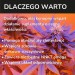 Zdjęcie produktu - #5 BioceriQ Pharma Witamina D W Oleju Konopnym 2000 IU, 30 ml