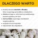 Zdjęcie produktu - #4 BioceriQ Pharma InsuliQ, 60 kaps.