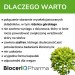Zdjęcie produktu - #4 BioceriQ Pharma NastroliQ, 60 kaps.